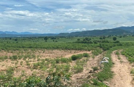 Cần bán gấp lô  đất có  tổng DT 1,9 mẫu tại huyện La Pa, tỉnh Gia Lai