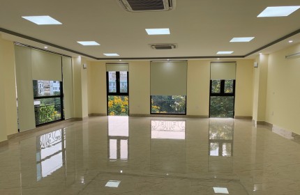 Cho thuê căn hộ 2 ngủ, tầng 4, 50m2,khu tập thể Bưu Điện Hoàng Cầu, Láng Hạ, Đống Đa,HN