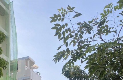 Hẻm xe hơi đỗ cổng Trần Quang Khải, Q1, 4 tầng, sân thượng trồng cây, 4 PN, giá 5,2 tỉ