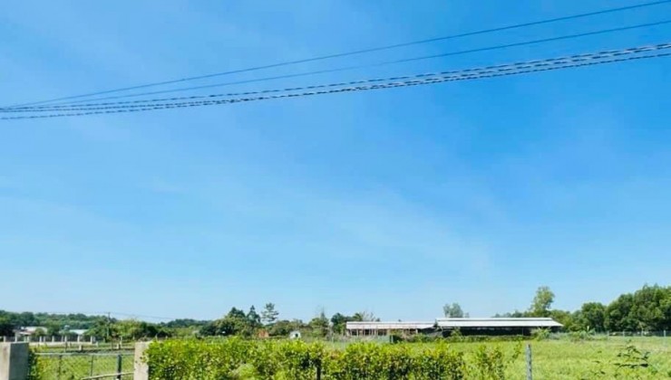 Bán thửa đất vườn Nhơn Trạch thuộc xã Vĩnh Thanh - Gần đường Vành Đai 3 TPHCM