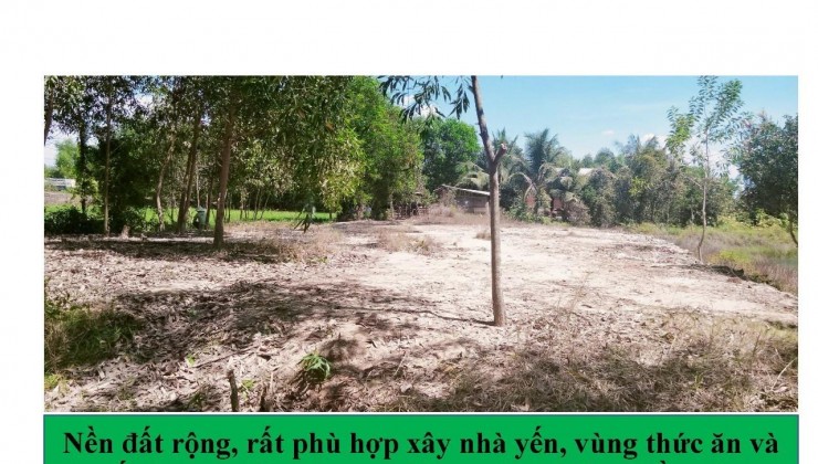 CHÍNH CHỦ CẦN BÁN Lô Đất Vườn 2000m2 Tại Xã Mỹ Bình, Đức Huệ, Long An