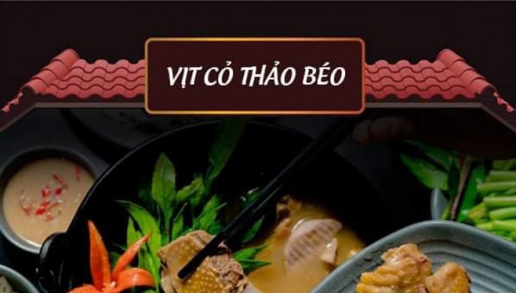 VỊT CỎ THẢO BÉO 85 Nguyễn Tất Thành, Định Trung, Vĩnh Yên, Vĩnh Phúc.