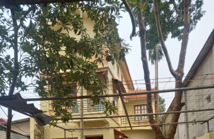Chính chủ cho thuê nhà vườn tại Tân Trại, Phú Cường, Sóc Sơn, Hà Nội.
