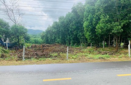 Chính chủ đang cần bán lô đất tổng diện tích 1770m2 tại Khánh Bình, Khánh Vĩnh, Khánh Hòa.
