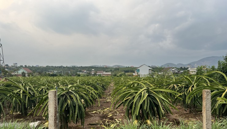 Bán Nhà Đẹp - Vị Trí Đắc Địa Tại C5 Đào Duy Từ, Phường 4, TP Đà Lạt