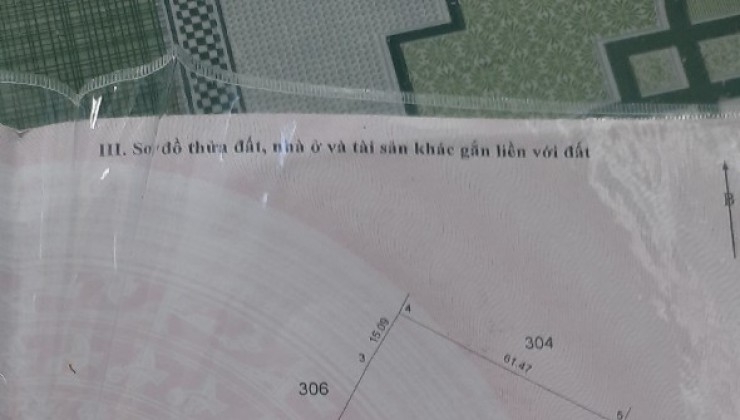 Bán gấp lô đất lúa xã Đức Tân giá 350 triệu.công