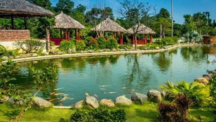 BÁN ĐẤT KHU ĐÔNG SƠN, QUANG TIẾN, SÓC SƠN GIÁ CỰC TỐT