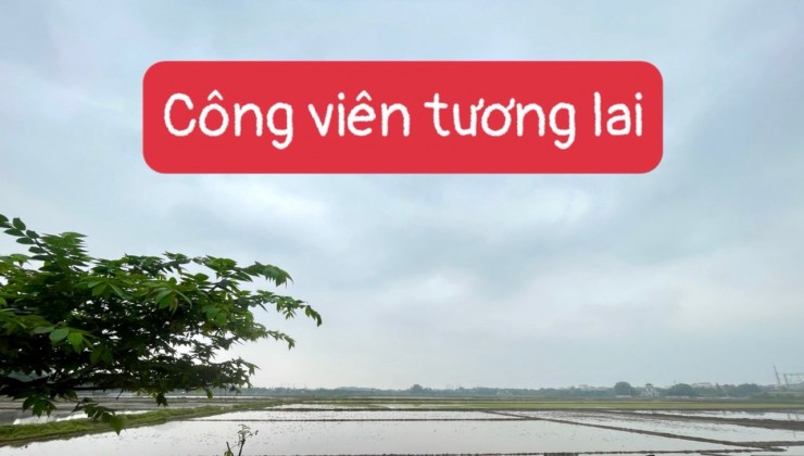 Siêu phẩm Long Biên - Hiếm - Duy nhất - View công viên - Khu TĐC Giang Biên - Vỉa hè - 2 oto tránh - Kinh doanh văn phòng