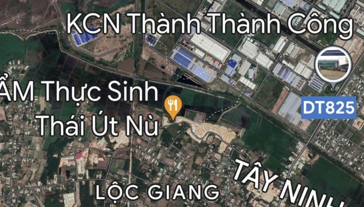 Cần bán 9.200 m2 đất mặt tiền TL 821, huyện Đức Hòa 