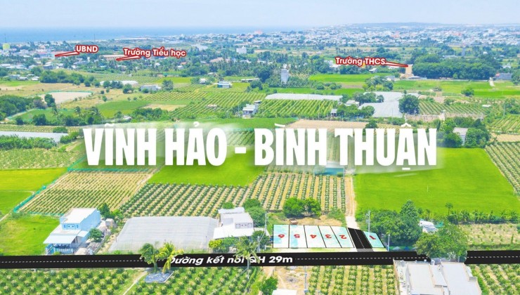 4 lô đất biển Bình Thuận chỉnh chủ kẹt tiền cần bán
