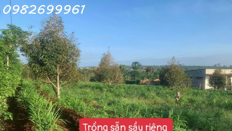 Bán đất sát trường học QL29 DT 500m2 đường bê tông