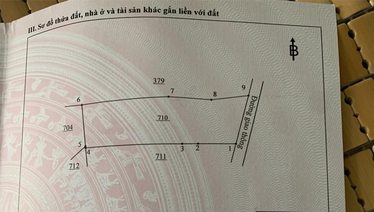 Sở Hữu Ngay Lô Đất Chính Chủ Thuộc Ấp Ngọc Lâm 1, Xã Phú Thanh, Tân Phú - Đồng Nai