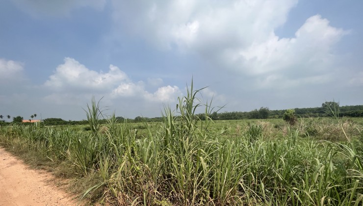 Sở Hữu Ngay LÔ ĐẤT CHÌNH CHỦ Tại Xã Truông Mít, Dương Minh Châu - Tây Ninh