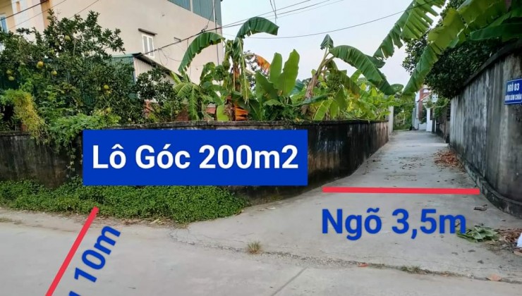 lô góc 2 mặt tiền sát đường nhựa áp phan máng 7,giá nhỉnh 10tr/1m.