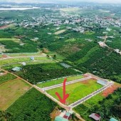 chủ ngộp bán lô đất 10x20 mặt tiền đường nhựa Bảo Lộc Lâm Đồng 0962130297
