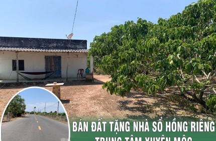 CHÍNH CHỦ BÁN ĐẤT TẶNG NHÀ SỔ HỒNG RIÊNG TRUNG TÂM XUYÊN MỘC