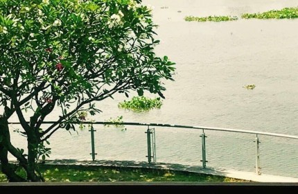HÀNG NGỘP Villa 5 sao view sông Vườn Lài APĐ ngang 12m 360m2 có hồ bơi chỉ 35 tỷ.
