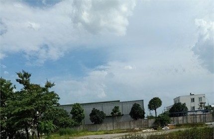 Bán 1,5ha đất kho nhà xưởng 50 năm tại Lai Cách, Cẩm Giàng, Tỉnh Hải Dương