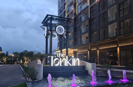 Chính chủ cần bán căn hộ chung cư The Tonkin 2 - Vinhomes Smart City, Phường Tây Mỗ, Nam Từ Liêm, Hà Nội.