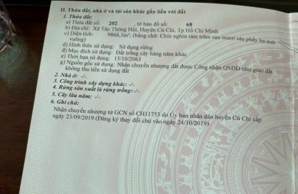 Cần bán 2 lô với tổng diện tích: 3369  m²  tại  xã Tân An Hội  huyện Củ Chi, TP.HCM