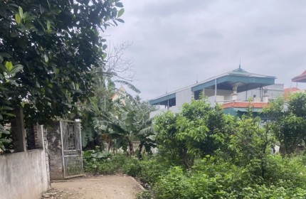 Chính chủ cần bán mảnh đất tại Vĩnh Lộc - Thư Phú - Thường Tín - Hà Nội.