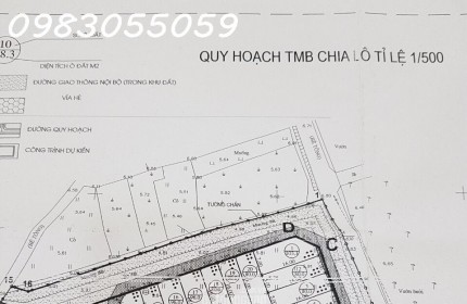 Bán đất đấu giá X1 Hội Phụ Đông Anh gần Vinhome Cổ Loa- sát chân cầu Tứ Liên