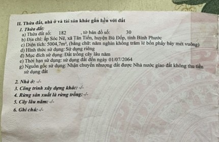 CHÍNH CHỦ Cần Bán NHANH LÔ ĐẤT vị trí tại Ấp Sóc Nê, Xã Tân Tiến, Huyện Bù Đốp, Bình Phước