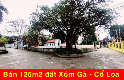 Chủ gửi bán 124m2 đất đẹp tại khu di tích Cổ Loa, Đông Anh