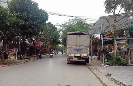 Bán đất mặt đường Hoàng Minh Thảo vị trí cực đẹp, diện tích 55m GIÁ 8.2 tỉ