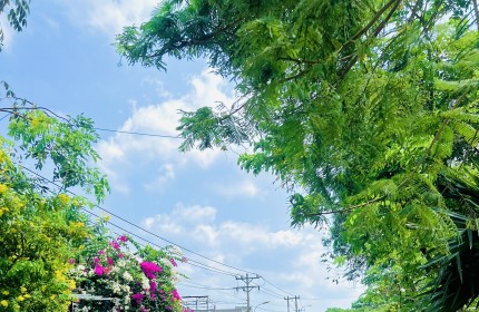 Bán nhà 2 mặt tiền đường Vườn Thơm, Bình Chánh, TPHCM, diện tích đất 420m2, full thổ gần bãi tập xe Hoàng Gia