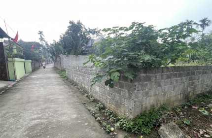 Bán đát khu phân lô dãy nhãntrung tâm thị trấn Xuân Mai, Hà Nội