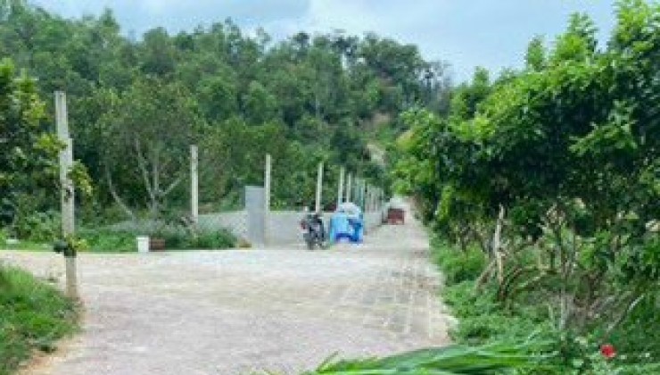 Bán Nhà Đất Đẹp tại Đội 1, xã Thanh Hưng, huyện Điện Biên, tỉnh Điện Biên