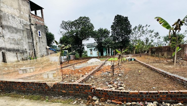 86M Sơn ĐOài-Tân Minh ô tô đỗ cửa giá nhú 700tr, sẵn sổ sang tên ngay.