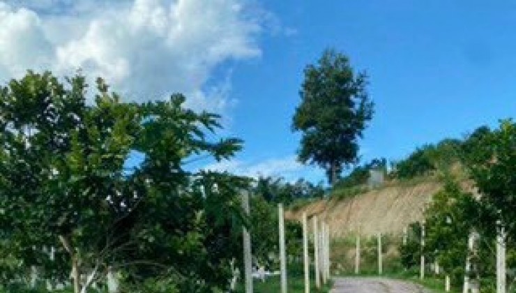 Bán Nhà Đất Đẹp tại Đội 1, xã Thanh Hưng, huyện Điện Biên, tỉnh Điện Biên