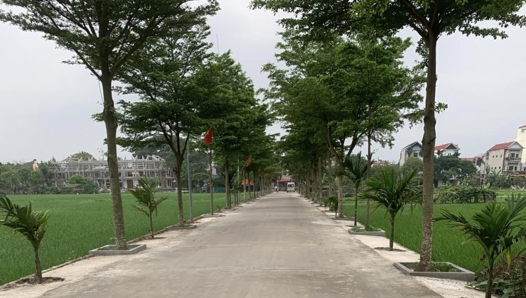 Chính chủ e cần tiền kinh doanh bán gấp lô đất 70m2 tại thôn Xuân Bách, Quang Tiến, Sóc Sơn.
