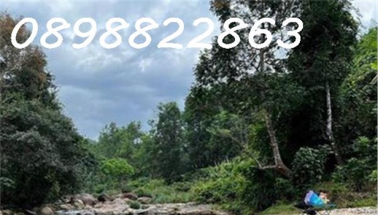 -1250m2 View Giáp Suối Cực Đẹp. Khánh Hòa