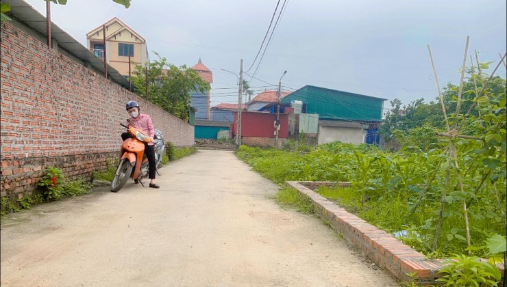 Bán 42,6m2 đất Sơn Du, Nguyên Khê, Đông Anh, Hà Nội. Lô góc, ô tô vào đất