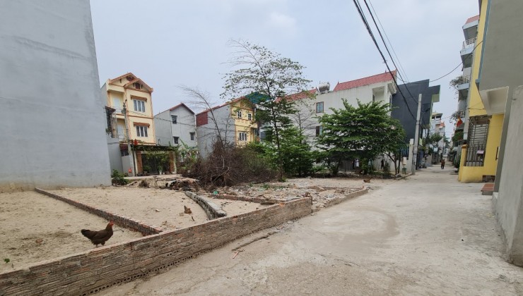 Bán 142m2 thôn Đạc Tài,xã Mai Đình,huyện Sóc Sơn, Hà Nội. Đường ôtô vào Đất.