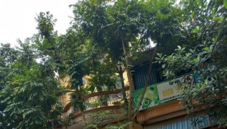 Bán nhà mặt đường Nguyễn Trãi phúc yên
Khu phố sầm uất.