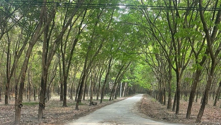 CHÍNH CHỦ CẦN BÁN ĐẤT KĐT MINH HƯNG – Diện Tích Lớn, Đất Hai Sổ - Giá Thương Lượng