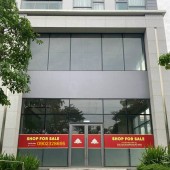 Chủ đầu tư Phú Mỹ Hưng mở bán Shophouse 1 trệt 1 lầu 192m2 mặt tiền đường Nguyễn Văn Linh, Shop sở hữu lâu dài, ngân hàng cho vay 70% với 0%ls đến