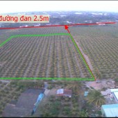 CHÍNH CHỦ Cần Bán 7300m2 Đất CLN Tại Chợ Gạo, Tiền Giang