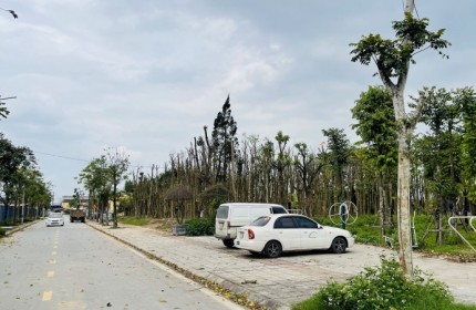 NGUYỄN VĂN LINH – LÔ MẶT NGÕ Ô TÔ THÔNG - LÔ GÓC 3 MẶT THOÁNG - 50M RA VƯỜN HOA TÂN THUỴ - AN SINH ĐỈNH