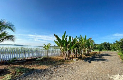Bán 8200m2 vườn bưởi 7 năm tuổi, View hồ Trị An,xã Mã Đà,đường xe hơi vi vu