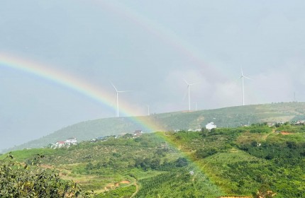 Cho thuê đất Tại Xuân Trường - Đà Lạt- Lâm Đồng