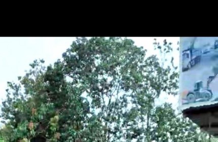 CHÍNH CHỦ CẦN BÁN 110 ha đất rẫy và LÔ ĐẤT MẶT Đường QL 14C trung tâm xã Mô Rai – huyện Sa Thầy – tỉnh Kon Tum