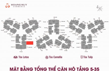 SỞ HỮU NGAY CĂN HỘ ĐẸP – GIÁ TỐT - Chính Chủ Bán Căn Hộ Camellia Hoàng Huy Hải Phòng