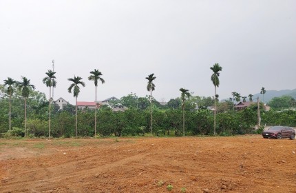 Đầu Tư Vào Bất Động Sản Ở Quốc Oai: Kết Hợp Giữa Lợi Nhuận và Sự Thư Thái Giá 4,5tr/m2