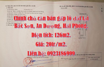 Chính chủ cần bán gấp lô đất tại Bắc Sơn, An Dương, Hải Phòng.