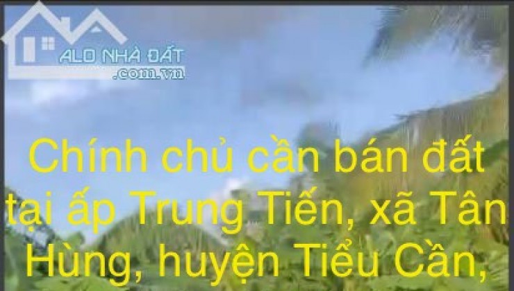 Chính chủ cần bán đất ấpTrung Tiến, xã Tân Hùng, huyện Tiểu Cần, tỉnh Trà Vinh